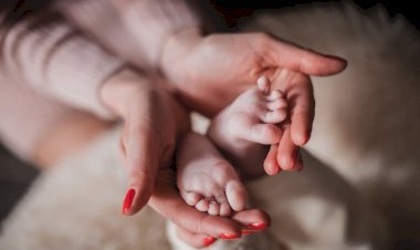 Protective Life Insurance vs. Other Providers: Which One is Better?