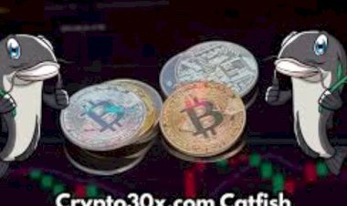 Crypto30x.com Catfish Warning: Don’t Get Scammed