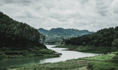 Plan Your Visit to Three Forks Natural Area: What to Know Before You Go