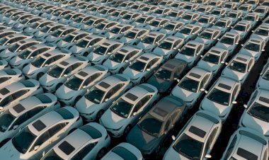 Car Hire Business Plan: Steps, Costs & Profit Potential