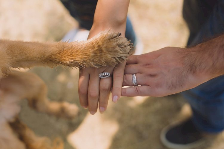 Best Fidget Rings for Women 2025: Stylish Anxiety Relief Jewelry