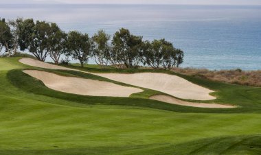 Best Turf Seed for Different Climates: Grow the Perfect Lawn Anywhere