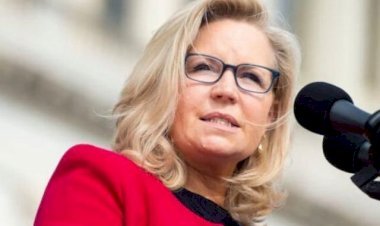 Liz Cheney Net Worth Breakdown: Political Career, Investments & Future Plans