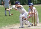 Understanding Cricket Pitch Length: From Stumps to Crease