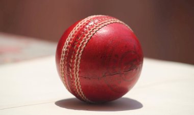 Cricket Ball Weight Chart: Men’s, Women’s & Junior Formats