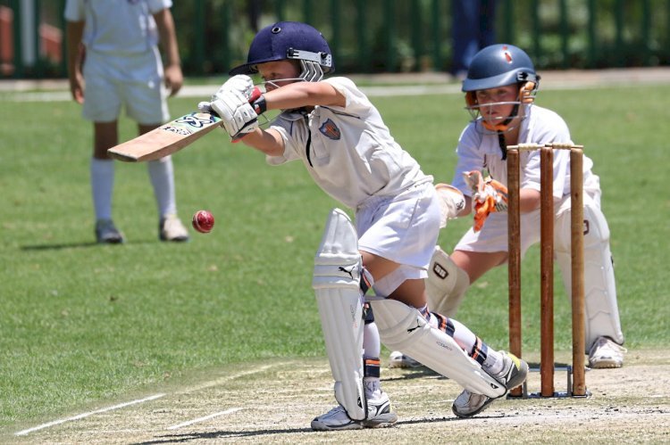 Understanding Cricket Pitch Length: From Stumps to Crease