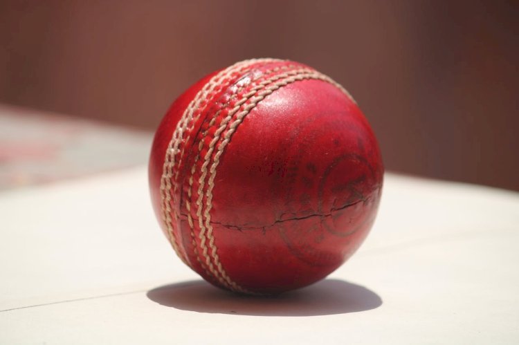 Cricket Ball Weight Chart: Men’s, Women’s & Junior Formats