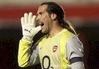David Seaman Net Worth Explained: Career Success, Income & Lifestyle
