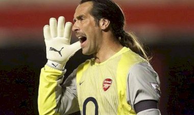 David Seaman Net Worth Explained: Career Success, Income & Lifestyle