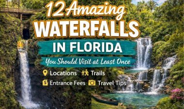 12 Amazing Waterfalls in Florida You Should Visit at Least Once