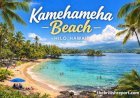 Kamehameha Beach, Hawaii: Complete Visitor Guide & Travel Tips