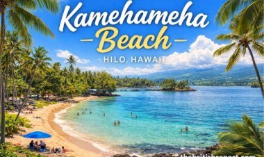 Kamehameha Beach, Hawaii: Complete Visitor Guide & Travel Tips