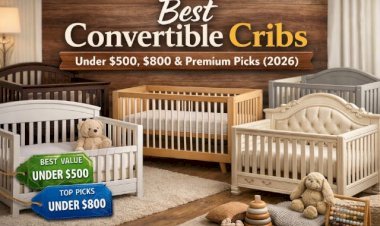 Best Convertible Cribs Under $500, $800 & Premium Picks (2026)