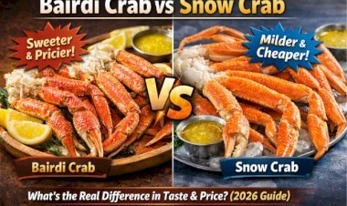 Bairdi Crab vs Snow Crab: What’s the Real Difference in Taste & Price? (2026 Guide)