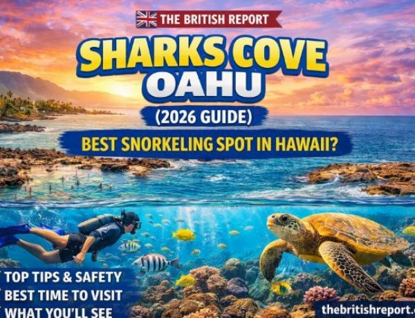 Sharks Cove Oahu (2026 Guide): Best Snorkeling Spot in Hawaii?
