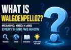 What Is Walgoenpelloz? Meaning, Origin and Everything We Know